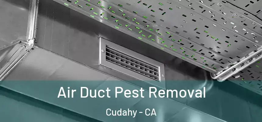  Air Duct Pest Removal Cudahy - CA
