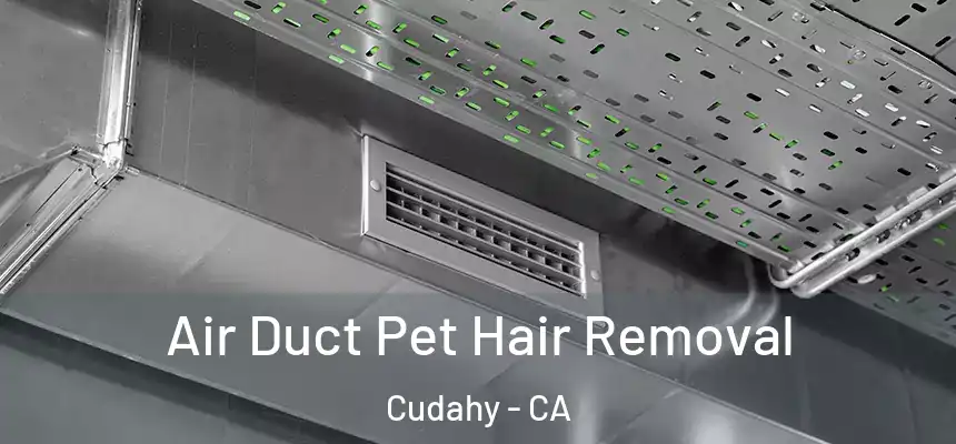  Air Duct Pet Hair Removal Cudahy - CA