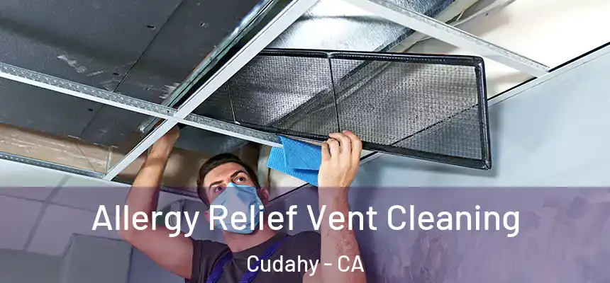  Allergy Relief Vent Cleaning Cudahy - CA