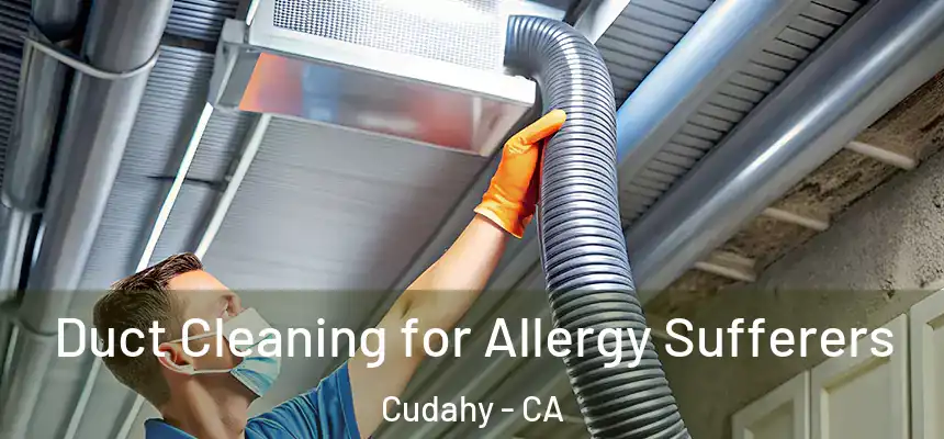  Duct Cleaning for Allergy Sufferers Cudahy - CA