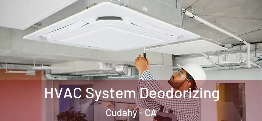  HVAC System Deodorizing Cudahy - CA