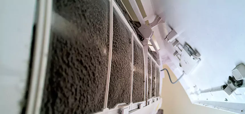 Preventive Air Duct Bacteria Removal in Cudahy