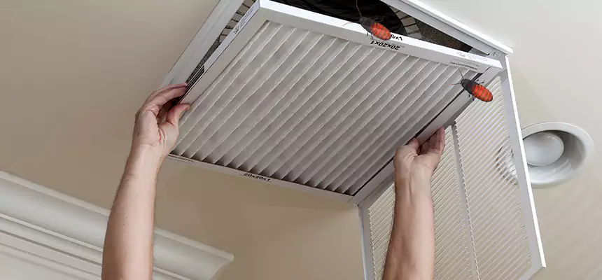 Our Insect Removal from Air Ducts Services in Cudahy, CA