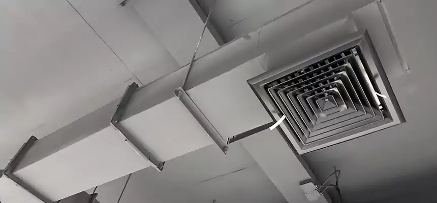 Our Rodent Droppings In Vents Services in Cudahy, CA