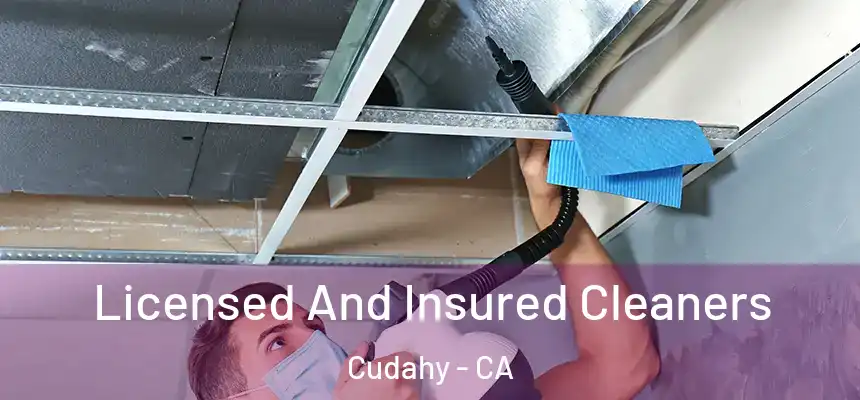 Licensed And Insured Cleaners Cudahy - CA