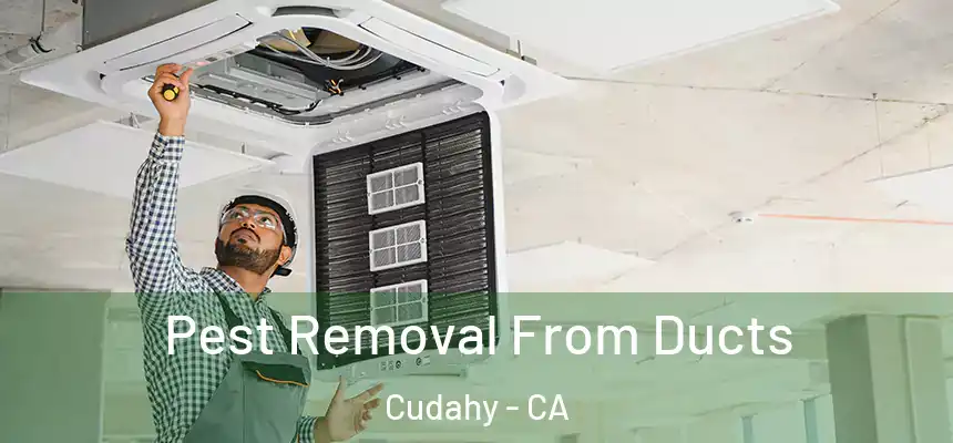  Pest Removal From Ducts Cudahy - CA