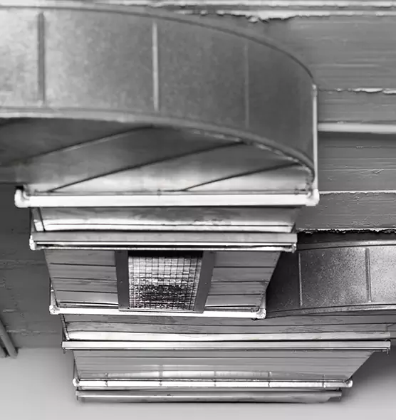 Professional Air Duct Pest Removal in Cudahy, CA