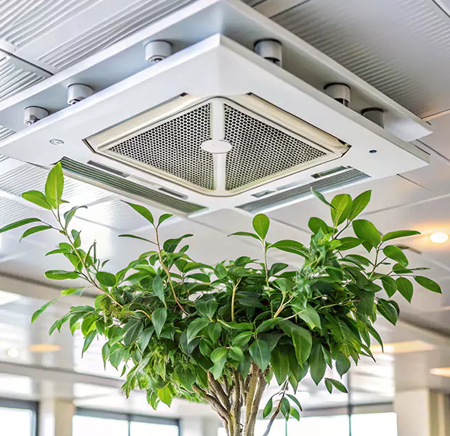 Why Homeowners & Businesses Trust Us in Cudahy, CA?