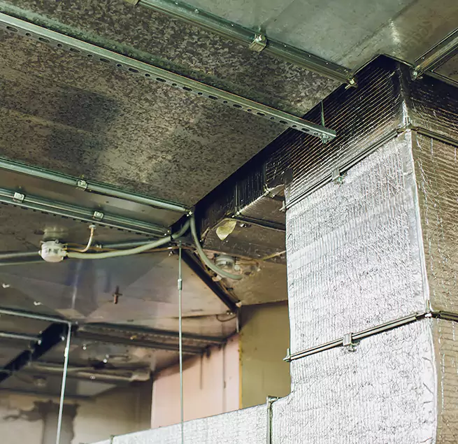 Why Homeowners & Businesses Trust Us in Cudahy, CA?